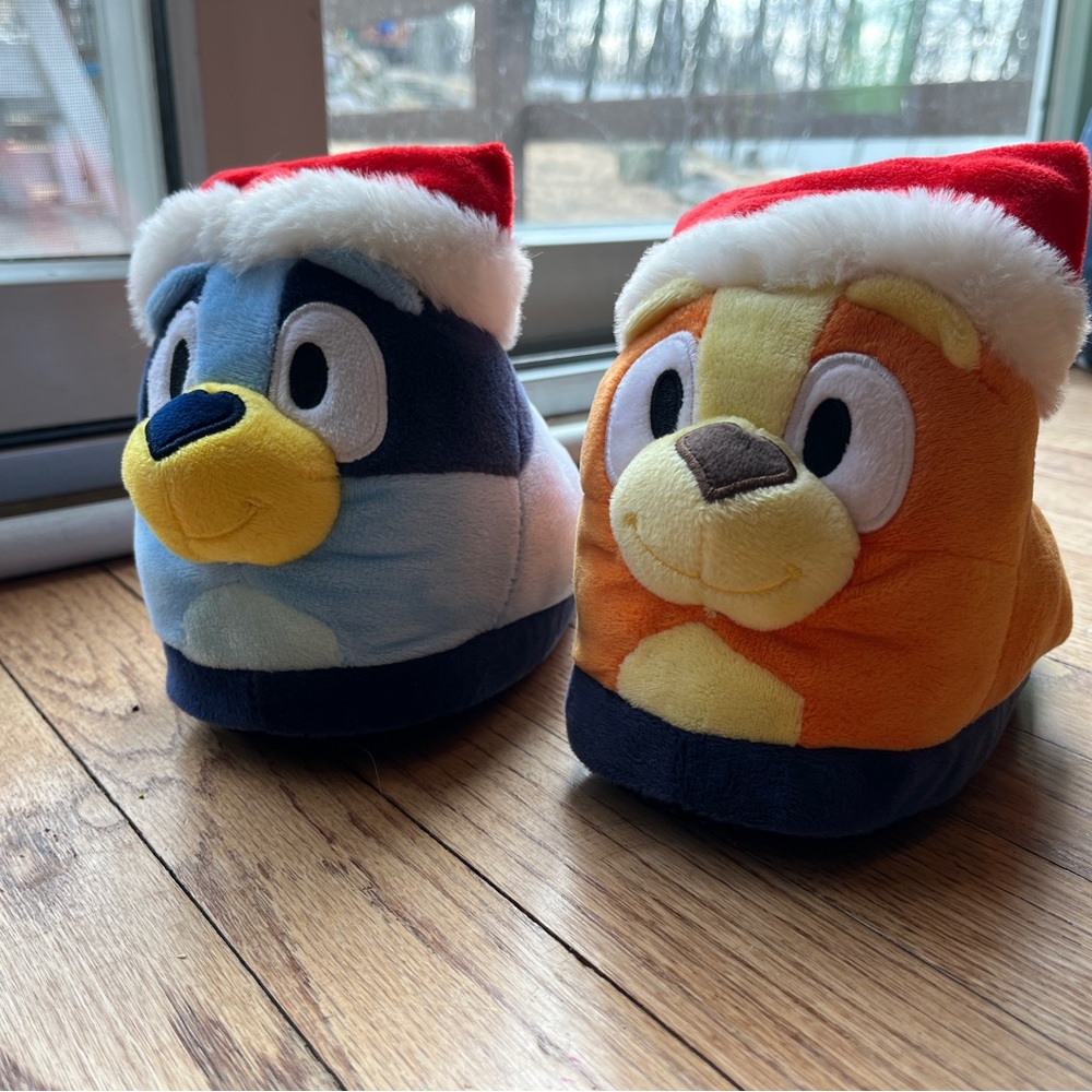Bluey and Bingo Slippers - Size 13/1 - like new!